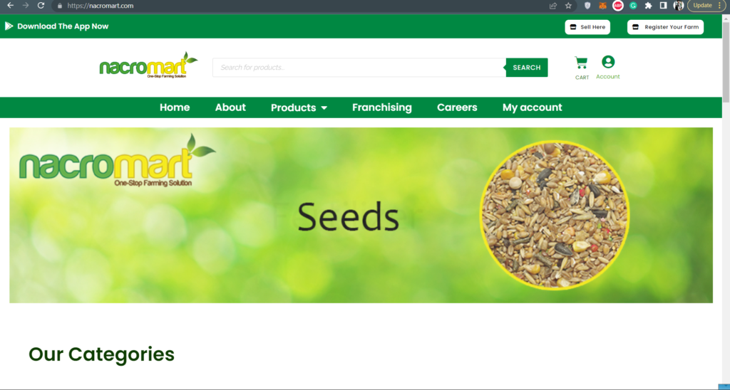 Screenshot 2022-10-29 185229